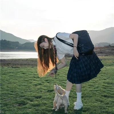 猫冬